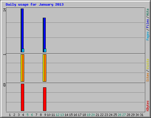 Daily usage for January 2013